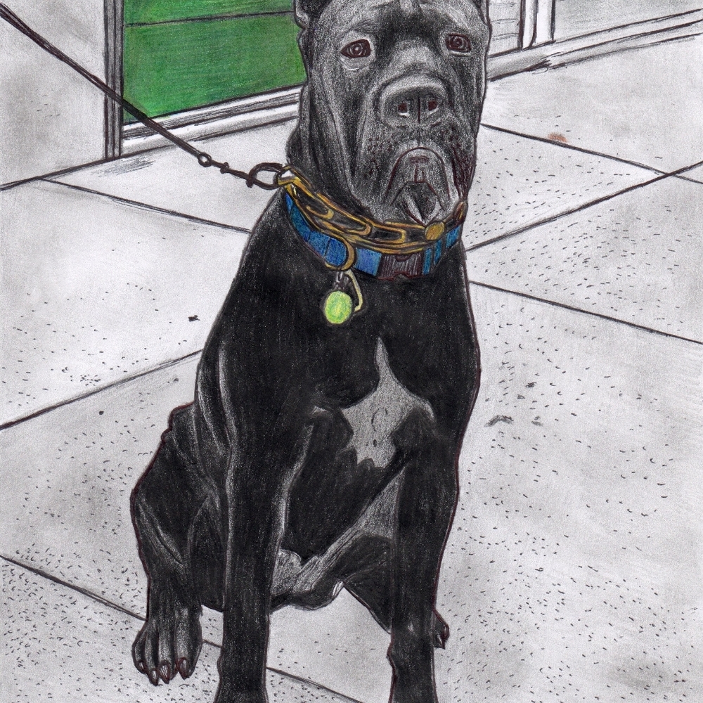 Home decor Art PRINT on paper "Grumpy fella"